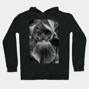 Garden Iris 5 Hoodie